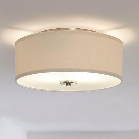 Light Flush Mount Ceiling Light