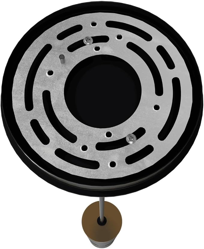 Cicada Black Pendant Light