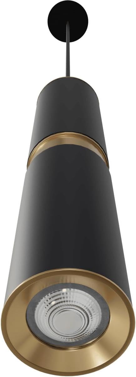 Cicada Black Pendant Light