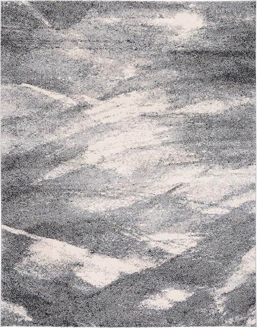 Grey Ivory Retro Area Rug