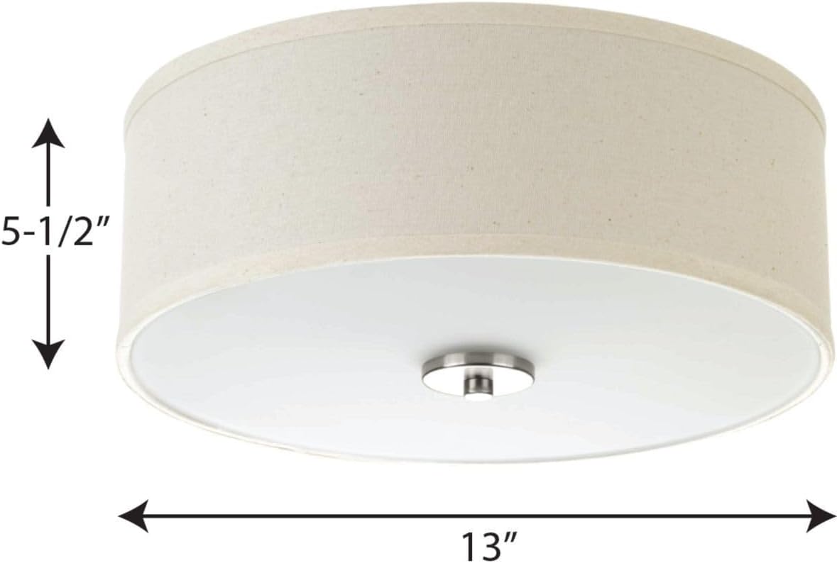 Light Flush Mount Ceiling Light